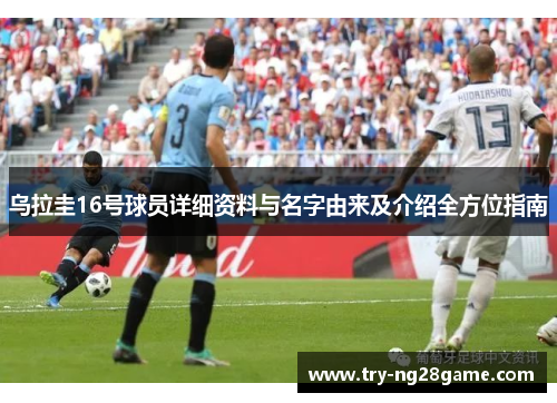 乌拉圭16号球员详细资料与名字由来及介绍全方位指南