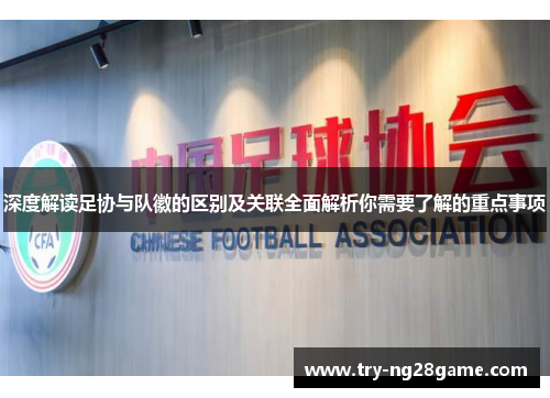 深度解读足协与队徽的区别及关联全面解析你需要了解的重点事项