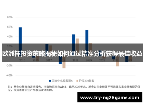 欧洲杯投资策略揭秘如何通过精准分析获得最佳收益