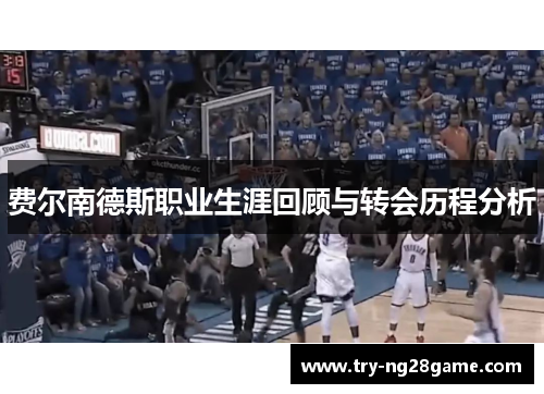 费尔南德斯职业生涯回顾与转会历程分析