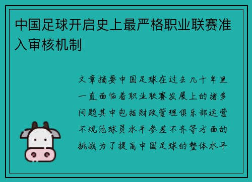 中国足球开启史上最严格职业联赛准入审核机制