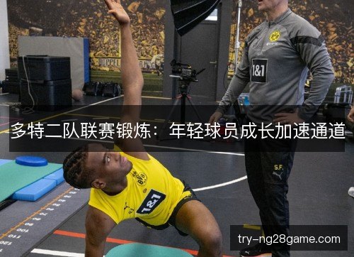 多特二队联赛锻炼:年轻球员成长加速通道 多特二队联赛锻炼:年轻球员成长加速通道